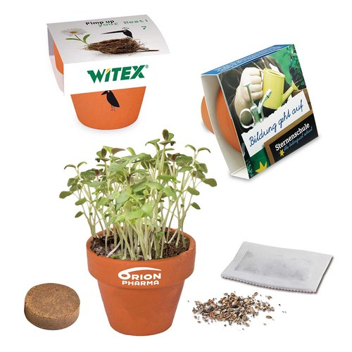 Mini logo-pot paper band with seeds - Forget-me-not Mini logo-pot paper band with seeds - Forget-me-not