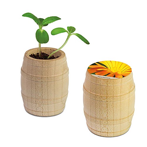 Plant-barrel with seeds - Marigold