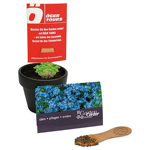 Plant-stick with seeds - Forget-me-not