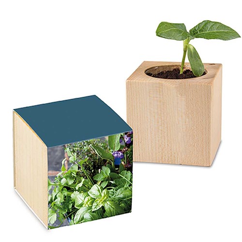 Plant-wood with seeds - Herb-mixture