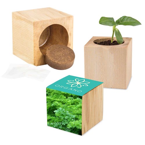 Plant-wood Maxi with seeds - Parsley