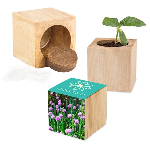 Plant-wood Maxi with seeds - chives