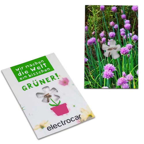 Seed-card-mini flower - chives