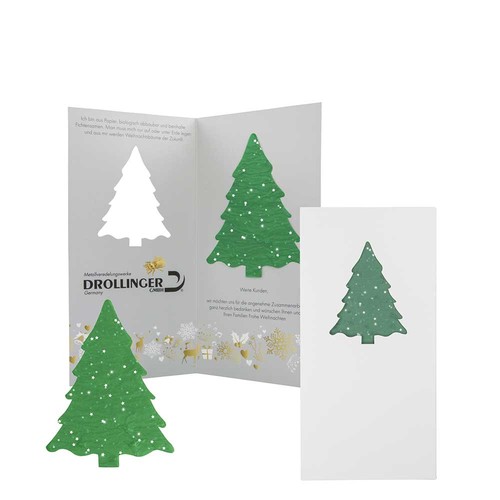 Greeting-card with seed paper fir tree - Spruce - grass paper 4/4-c