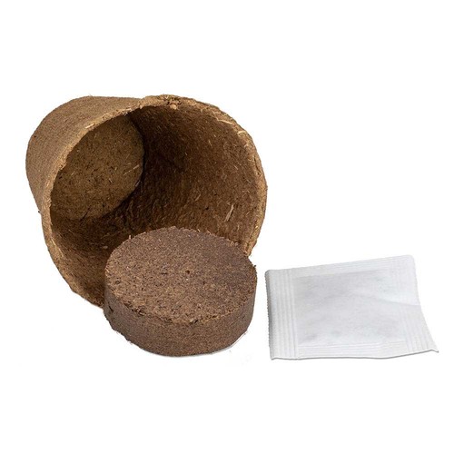 Cultivation set with seeds - chives Cultivation set with seeds - chives