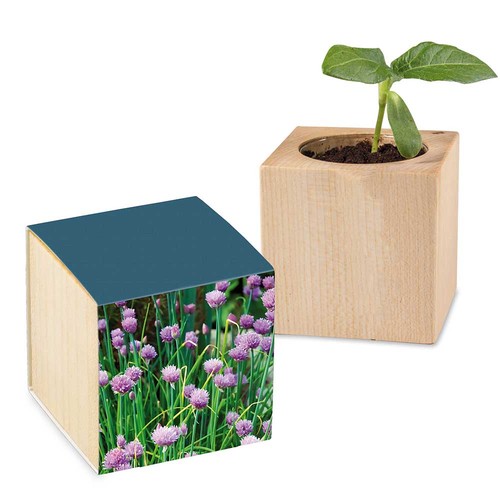 Plant-wood with seeds - chives