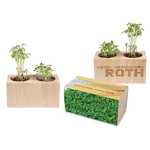 Plant-wood set of 2 with seeds - Cress