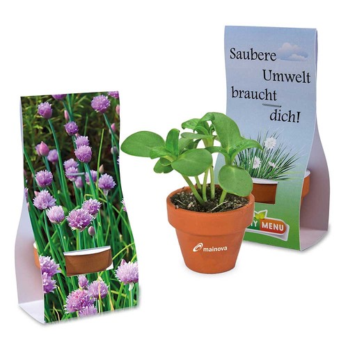 Mini logo-pot handover-packaging with seeds - chives