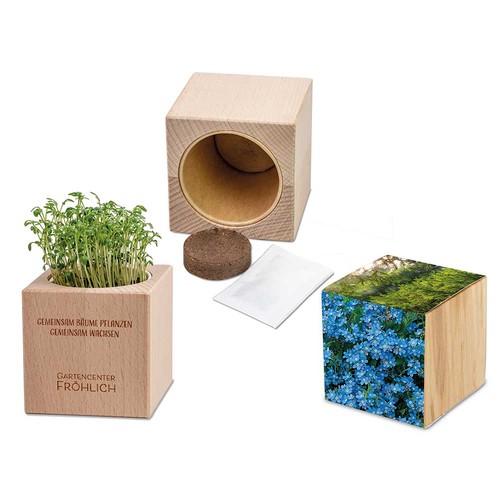 Plant-wood Grande with seeds - Forget-me-not