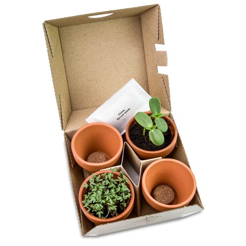 Plant-mix winter-set - with digital printing