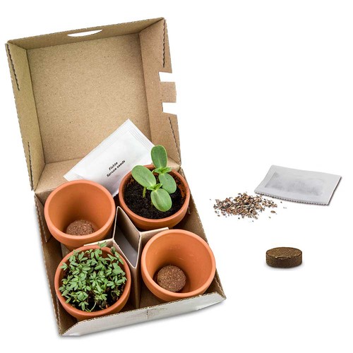 Plant-mix winter-set - with digital printing Plant-mix winter-set - with digital printing