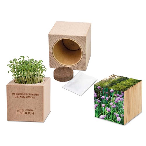 Plant-wood Grande with seeds - chives