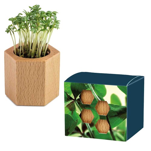 Plant-wood Hexagon with seeds - Four-leaf clover