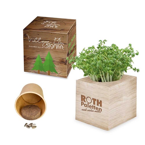 Plant-cube 2.0 with seeds - Christmas - Parsley Plant-cube 2.0 with seeds - Christmas - Parsley