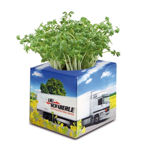 Plant-cube 2.0 with seeds - Christmas - Parsley Plant-cube 2.0 with seeds - Christmas - Parsley