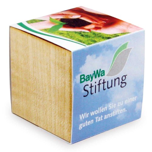 Plant-wood magnet with seeds - chives Plant-wood magnet with seeds - chives