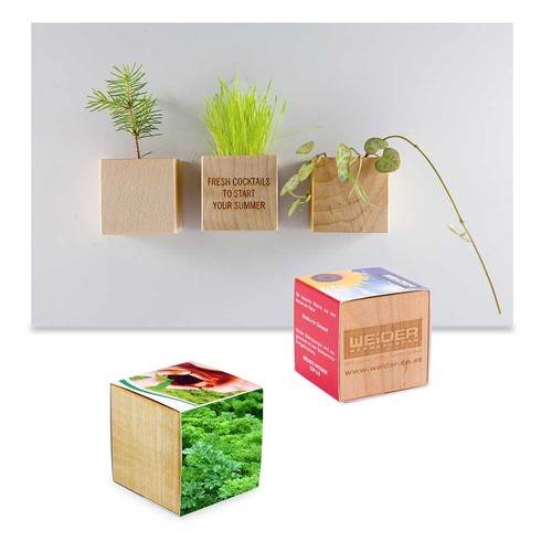 Plant-wood magnet with seeds - chives