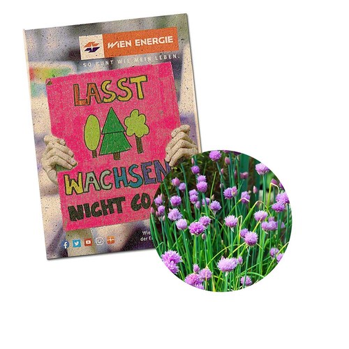 Seed-bag small - Grass paper - chives