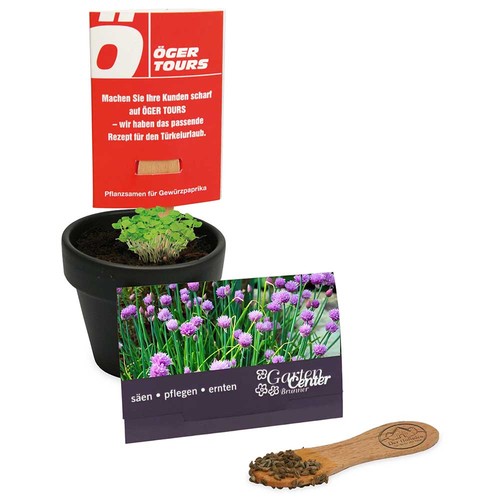 Plant-stick with seeds - chives