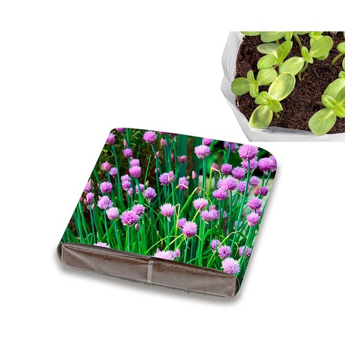 Pop-up potting soil with seeds - chives