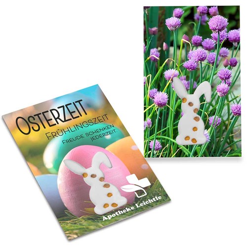 Seed-card-mini Easter - chives
