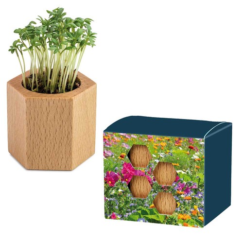Plant-wood Hexagon with seeds - Summerflowers mix
