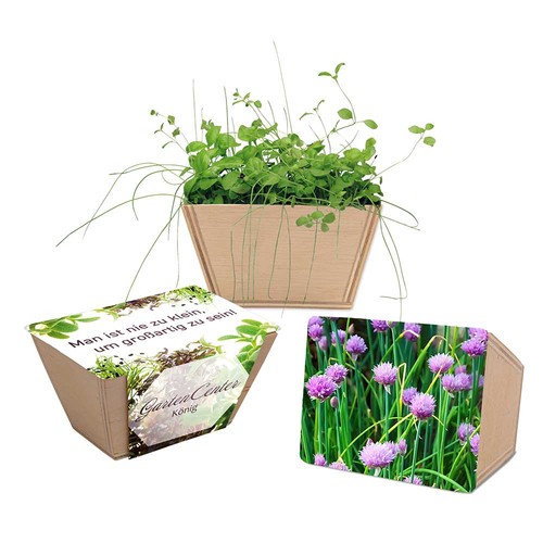 Mini-bed with seeds - chives