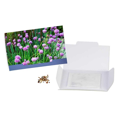 Flower-card with seeds - chives