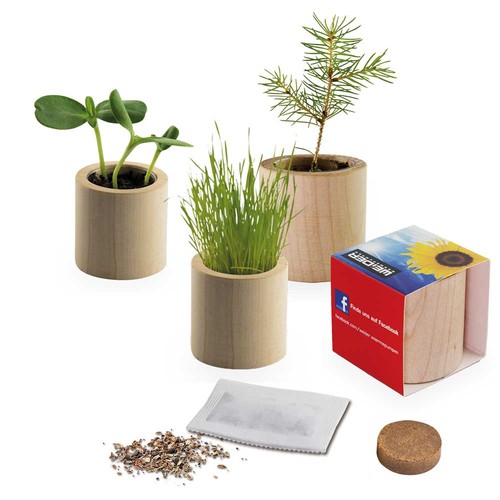 Plant-wood round with seeds - Parsley Plant-wood round with seeds - Parsley