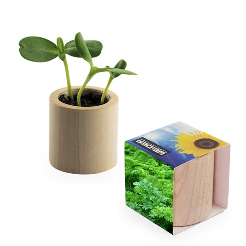 Plant-wood round with seeds - Parsley