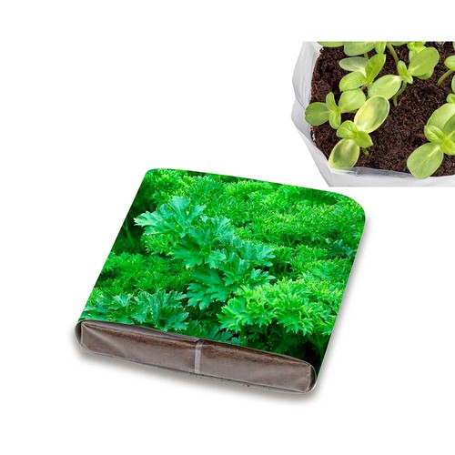 Pop-up potting soil with seeds - Parsley