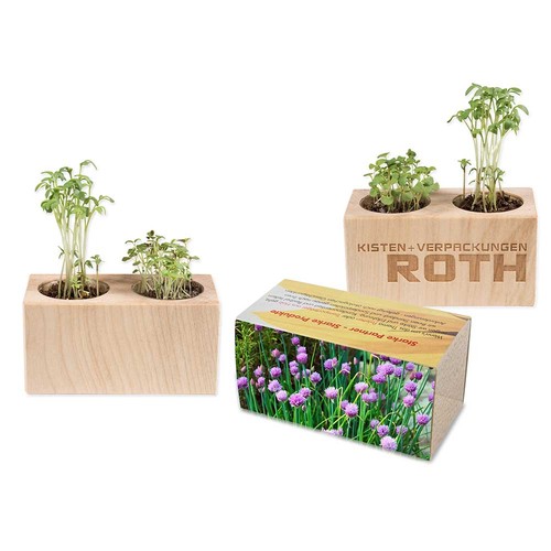 Plant-wood set of 2 with seeds - chives
