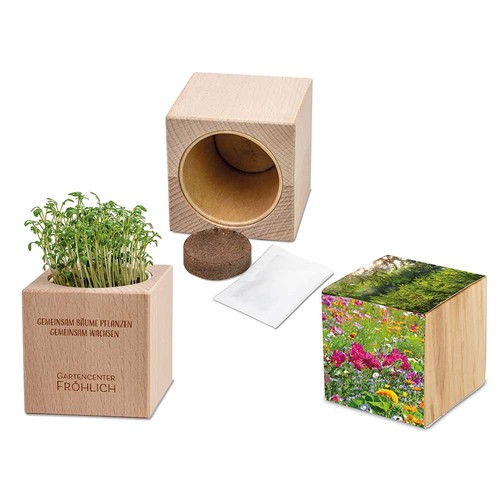 Plant-wood Grande with seeds - Summerflowers mix