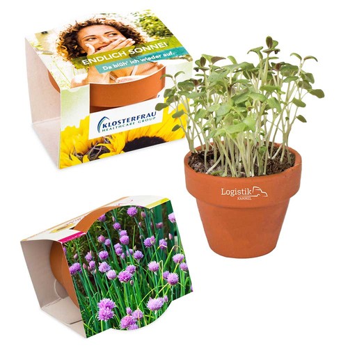 Mini logo-pot complete paper band with seeds - chives