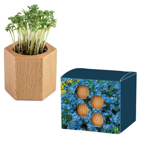 Plant-wood Hexagon with seeds - Forget-me-not