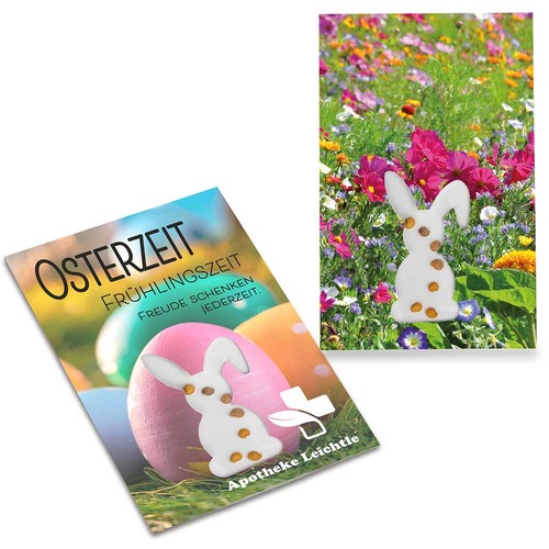 Seed-card-mini Easter - Summerflowers mix
