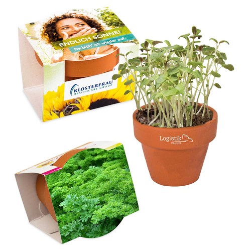 Logo-pot with seeds - teracotta - Parsley