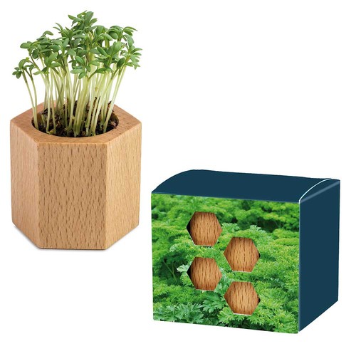 Plant-wood Hexagon with seeds - Parsley