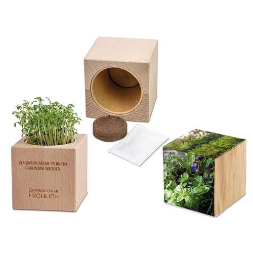 Plant-wood Grande with seeds - Herb-mixture