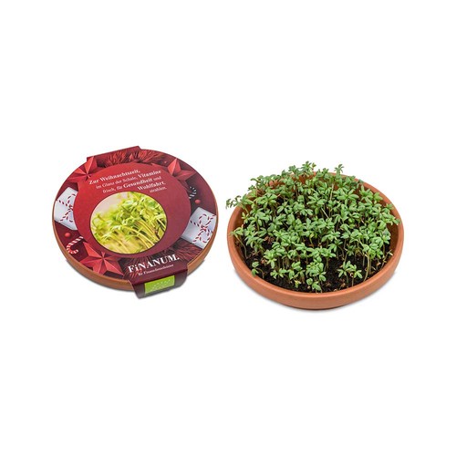 Vitamin-bowl - Christmas - Cress