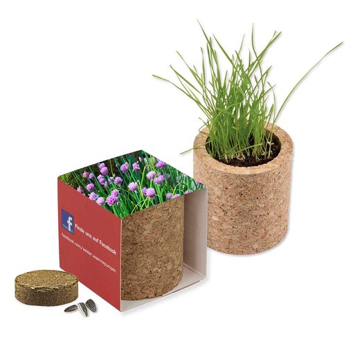 Plant-cork round with seeds - chives