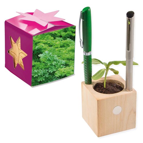 Plant-wood office star-box with seeds - Parsley