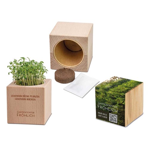 Plant-wood Grande with seeds - Basil Plant-wood Grande with seeds - Basil