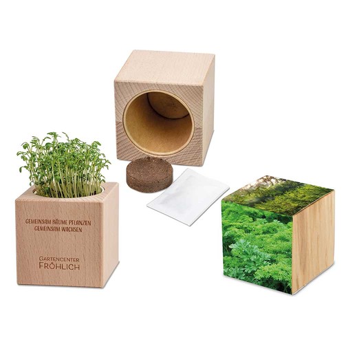 Plant-wood Grande with seeds - Parsley