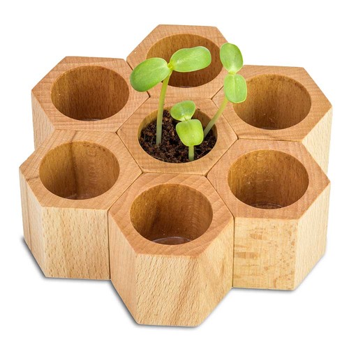 Plant-wood Hexagon with seeds - Herb-mixture Plant-wood Hexagon with seeds - Herb-mixture