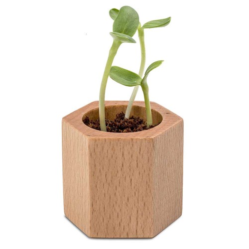 Plant-wood Hexagon with seeds - Herb-mixture Plant-wood Hexagon with seeds - Herb-mixture