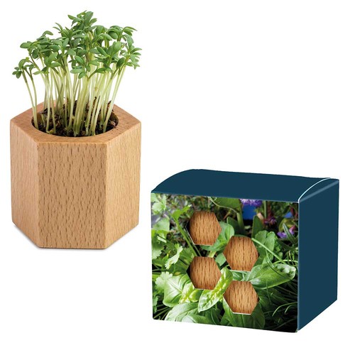 Plant-wood Hexagon with seeds - Herb-mixture
