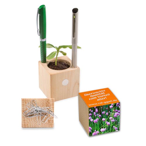 Plant-wood office with seeds - chives