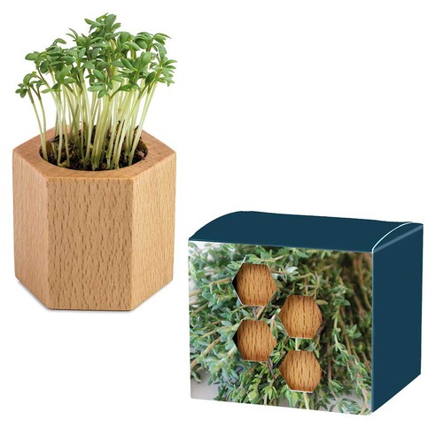 Plant-wood Hexagon with seeds - Thyme