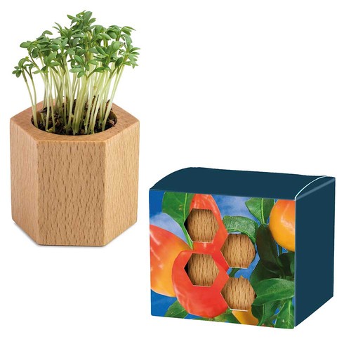 Plant-wood Hexagon with seeds - Chili